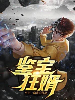 鉴宝小狂婿