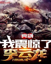 亮剑我震惊了李云龙笔趣阁