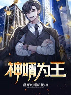 免费阅读神王婿