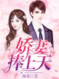 苏锦棠傅北尧全文免费阅读正版0