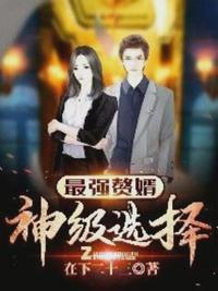 最强赘婿神级选择全书