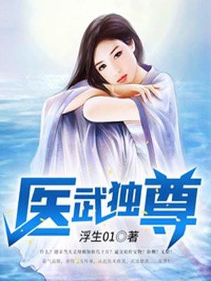 医武独尊宁天完整版