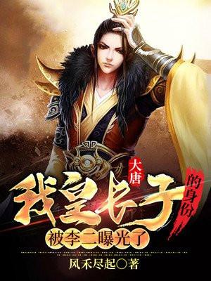 我大唐长子免费阅读