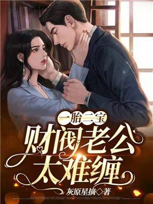 一胎二宝总裁太会宠