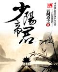 少阳君是什么意思