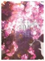 年花简笔画图片大全