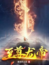 至尊龙帝免费阅读
