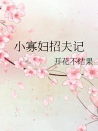 小寡妇招夫记花开不结果
