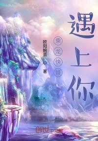 乘龙快婿连续剧