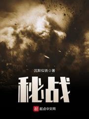 秘战无声免费阅读