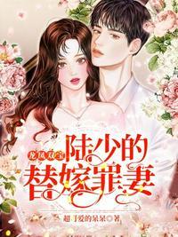 陆少的替嫁宠妻免费