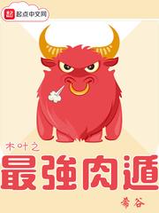 木叶最强肉盾遁垃圾