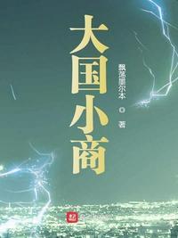 大国小商怎么样