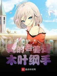 我的老婆是木叶纲手免费漫画