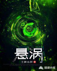 悬涡式搅拌器MT-31