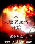 穿越到大唐双龙传世界的