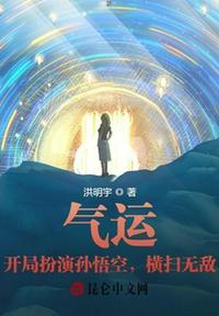 主角气运