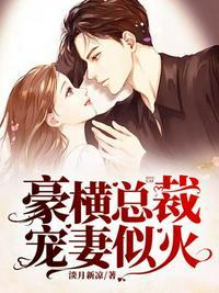 豪横总裁宠妻似火黎湘