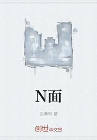 N面料是什么成分