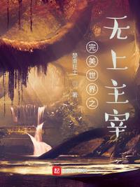 完美世界之无上主宰女主有几个