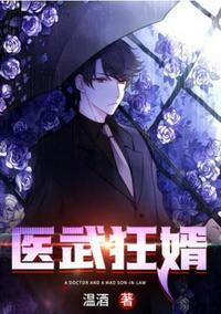 医武狂婿欲上青天