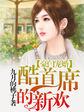 豪门宠婚酷首席的新欢