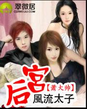 风流太子后宫萧大帅