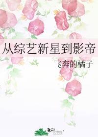 从综艺开始爆红全球全文免费阅读