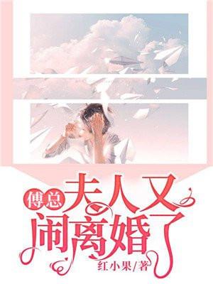夫人又闹离婚了全文免费阅读无弹窗