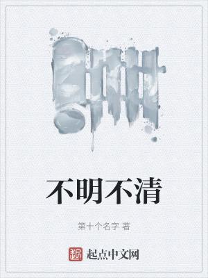 不明不清大结局