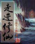 走进修仙多少字