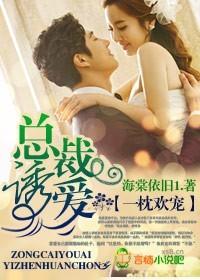 一枕贪欢总裁请离婚