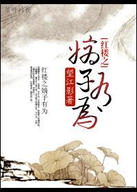 红楼之嫡子有为　　　　作者望江影