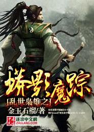 请问乱世枭雄