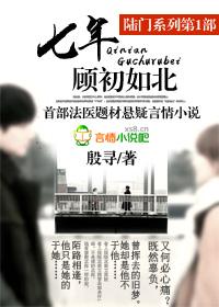 陆门七年顾初如北电视剧
