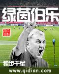 绿茵伯乐txt百度