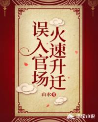 误入官场人物