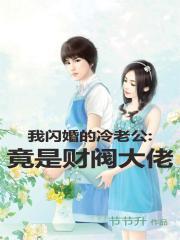 闪婚之我的老公是总裁