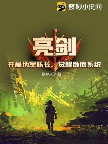开局亮剑小兵