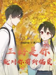 对你是偏爱是例外