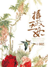 重生之摄政王妃野翻天云倾绾