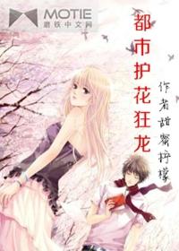 都市护花狂龙陈婷最新章节更新