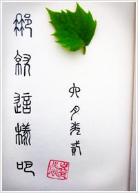 再爱都曲终人散啦