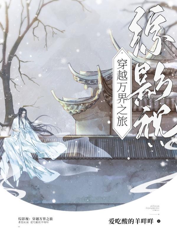 综影视含穿越网剧