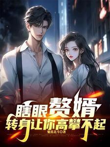 赘婿的背后
