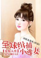 全球缉爱阅读