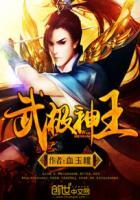 武极神王夕岚和谁在一起了