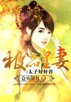 极品皇太子作者