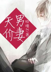 天价男妻 哈喽Z