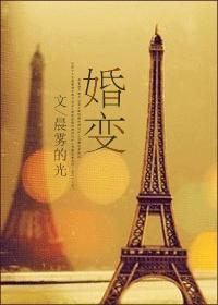婚变电视剧剧情简介